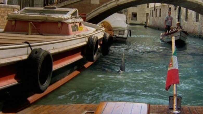 кадр из фильма Акула в Венеции