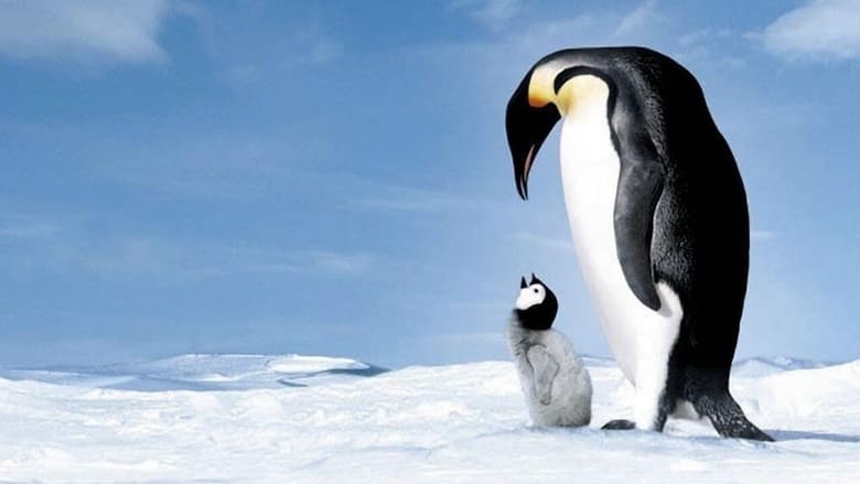 кадр из фильма Марш пингвинов