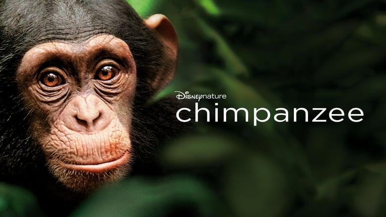 кадр из фильма Шимпанзе