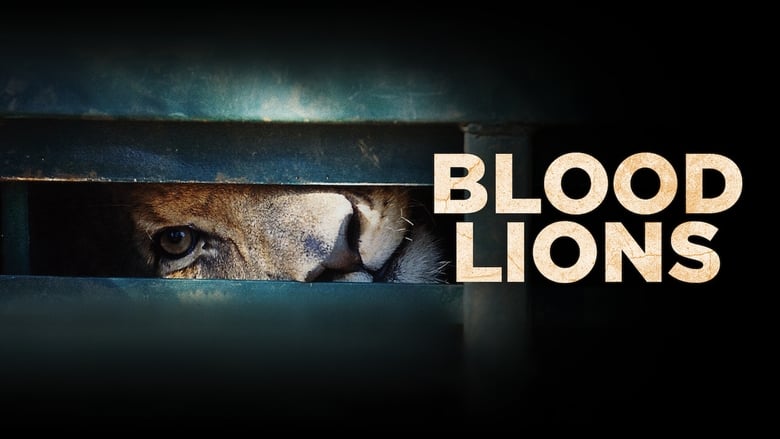 кадр из фильма Blood Lions