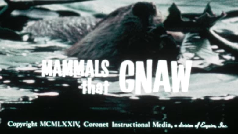 Mammals That Gnaw