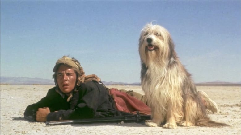 кадр из фильма Парень и его пес