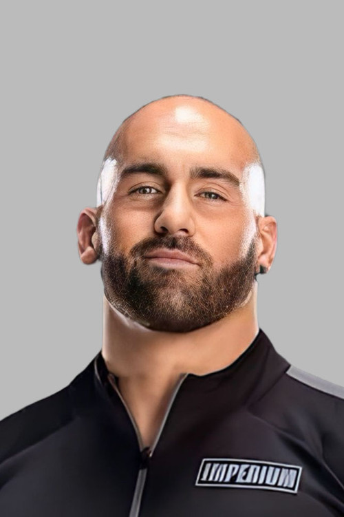 Фабиан Аицхнер