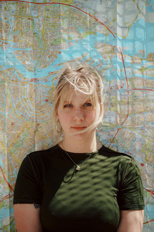 Деси ван Влиет