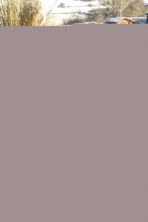 Манон Дуреуил