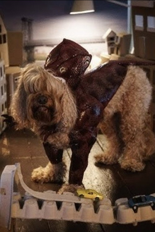 Jохн тхе Дог