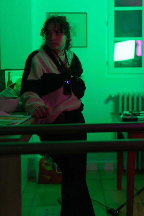 Лисон Наудин