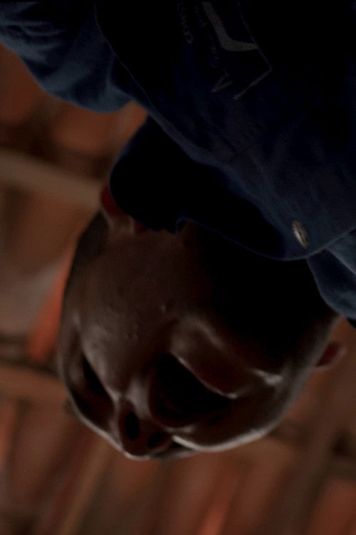 Рицардо Ферреира