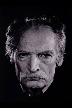  Махмуд Довлатабади