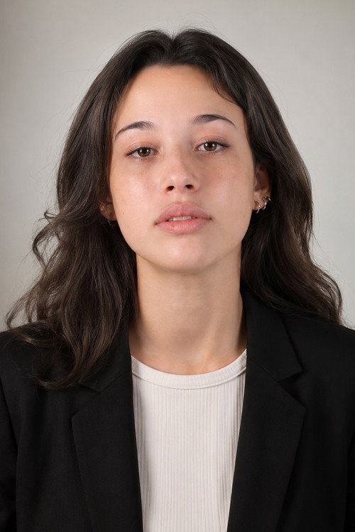 Ланна де Палмаерт