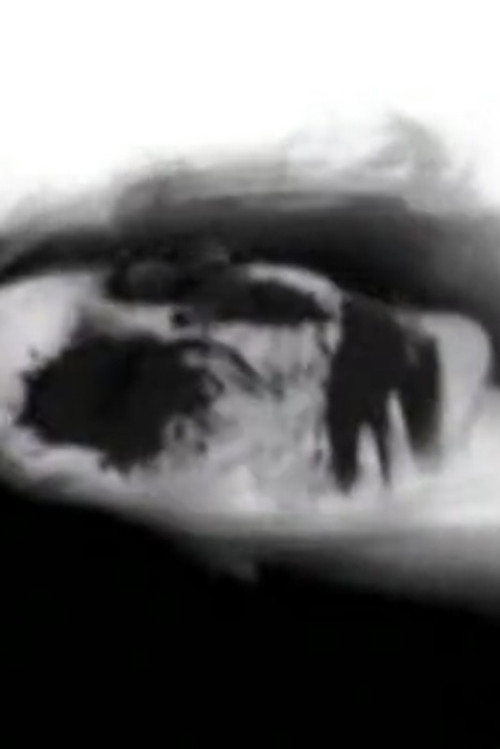 Циндерелла Валентине