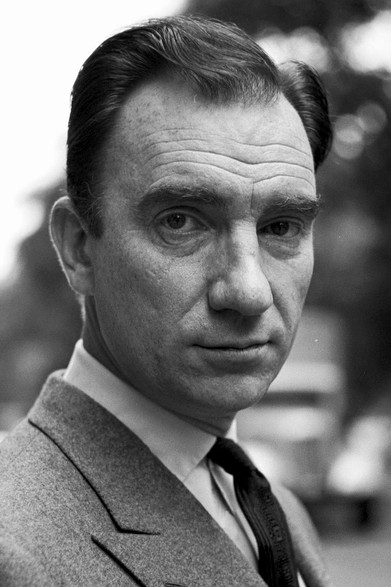  Фернандо Фернан Гомес