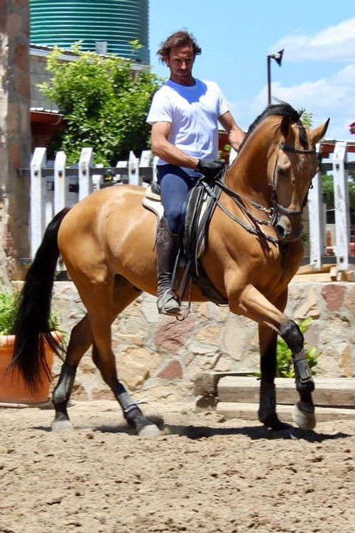 Луис Мигуел Арранз