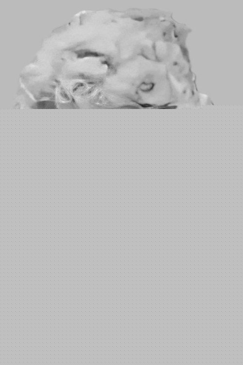 Естелле Харрисон