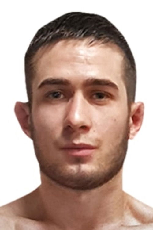 Илие Мерйацре