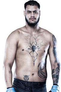  Таллисон Тейшейра