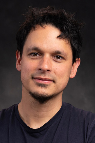 Лудовиц Цхаиллолеау