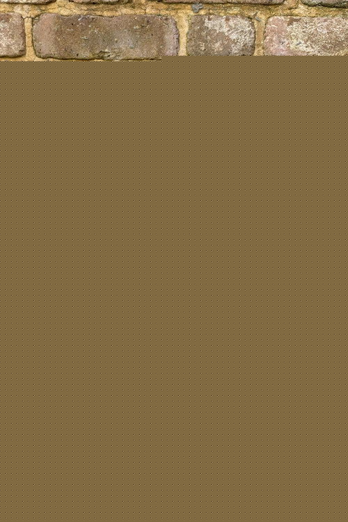 Алице Даwсон