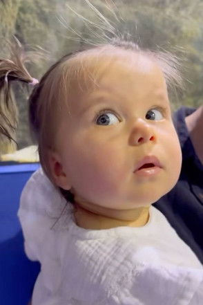 Маjа Wиśниеwска