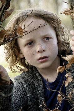 Мелс ван дер Хоевен