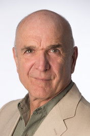 Доменицо Фиоре