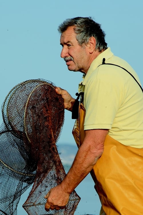 Францо Лупо