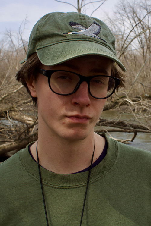 Хенрй Петрини