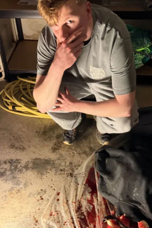 Себастиан Поулсен