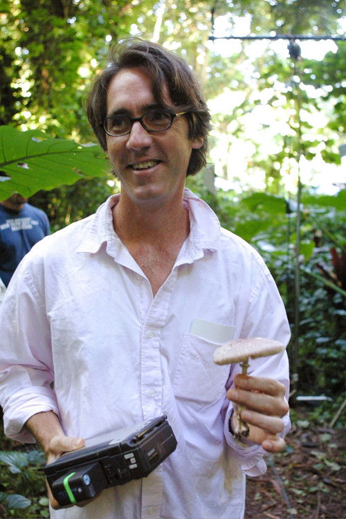 Мицхаел Бонвиллаин