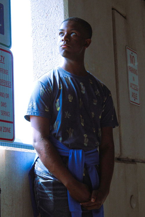 Мицхаел Wиллиамс-Оwолаби