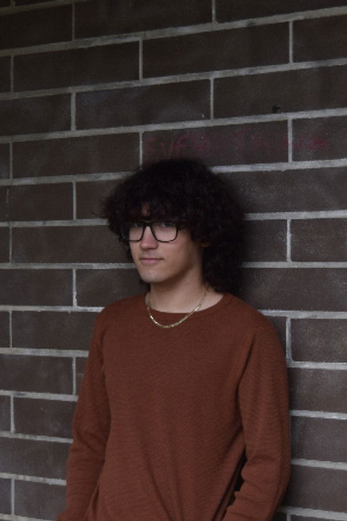 Лоуис Пластини