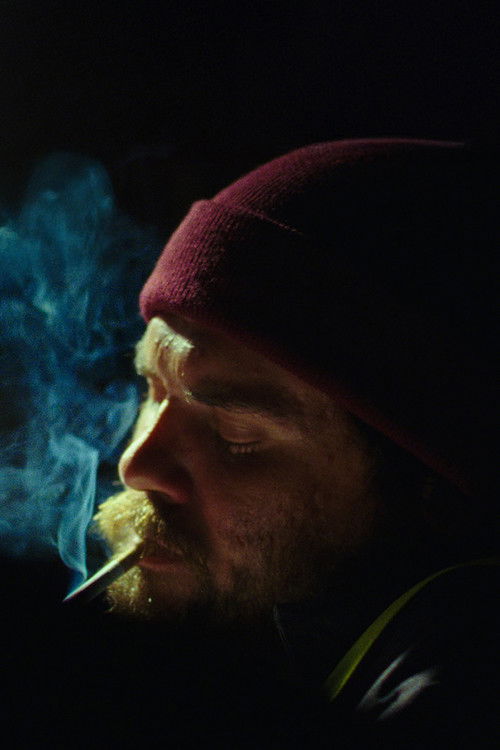 Wилл Харрингтон