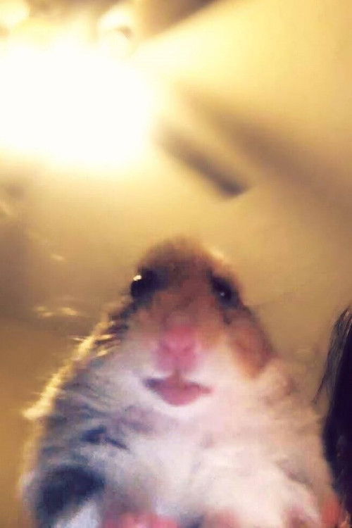 Сеан Слатер