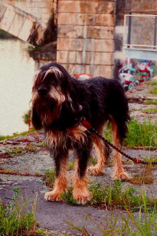 Аид