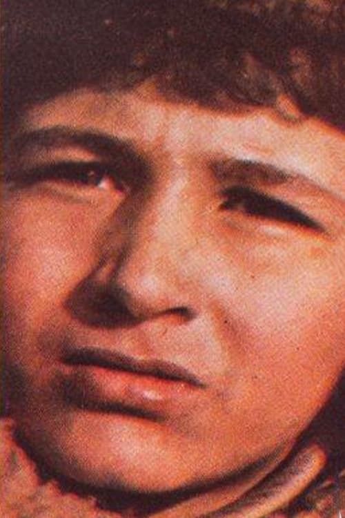 Полат А. Jöнтüрк