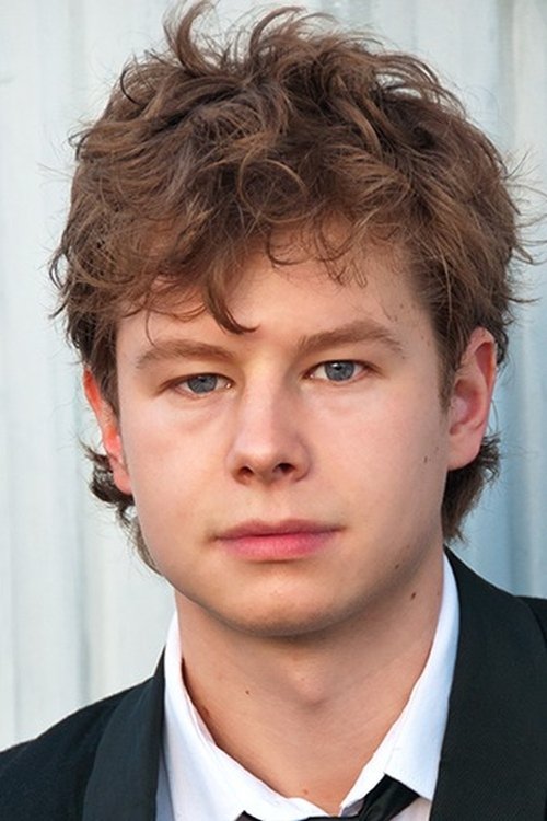 Петри Виллинк