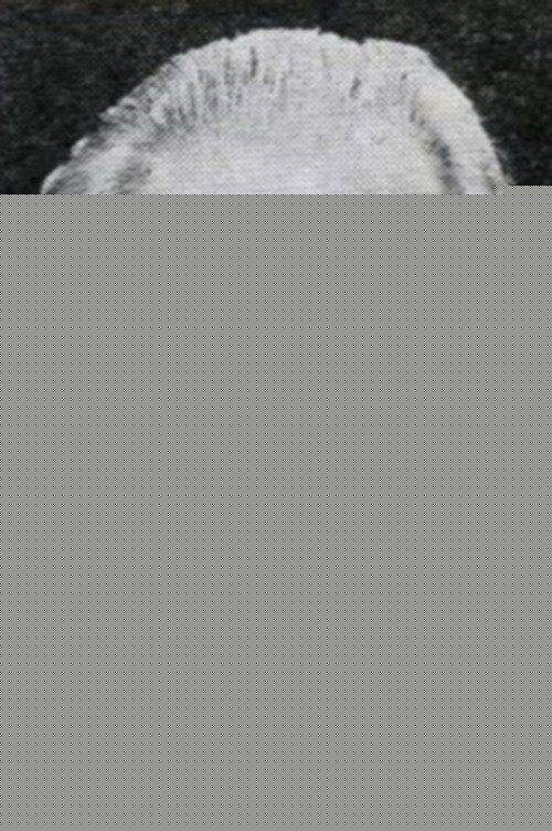 Владимир Карпеко