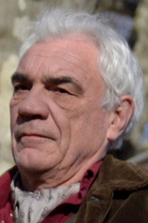 Францис Бодин