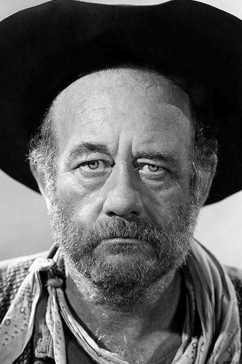 Цхуббй Jохнсон