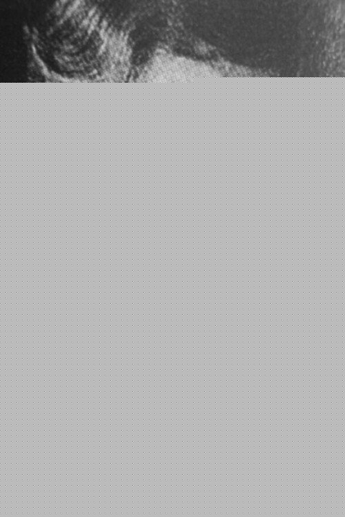 Владимир Арро