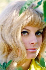 Реаган Wилсон