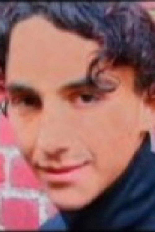 Мирко Занелли