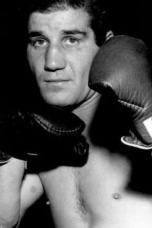 Луиги Цолуззи