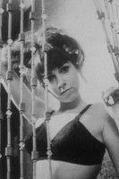 Марлене Старр