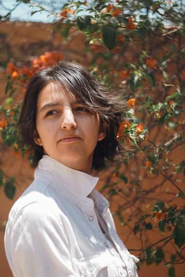 Диан Фабиáн