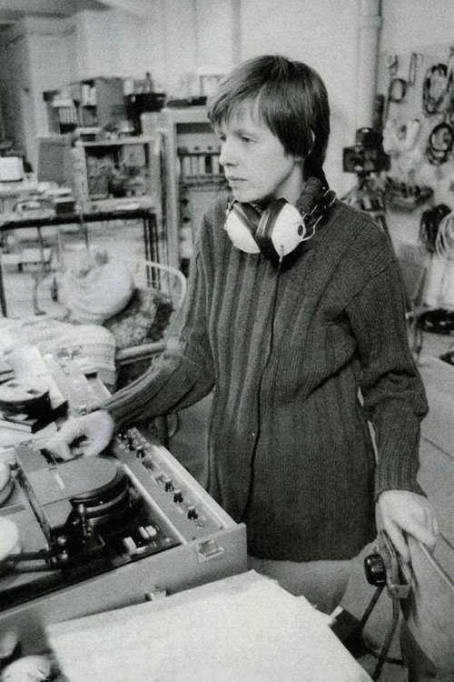 Стеина Васулка