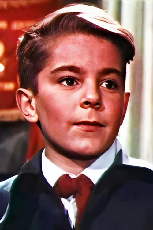 Владимир Судин