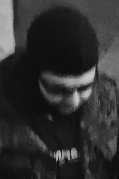 Догфоод Wиллиамс