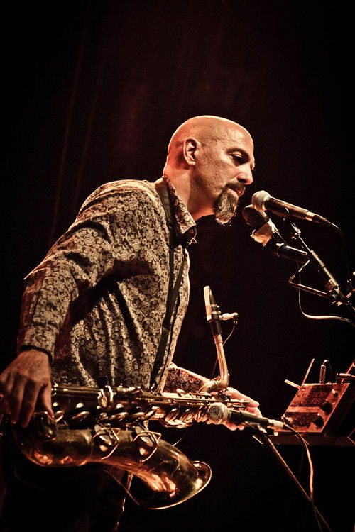 Дана Цоллей