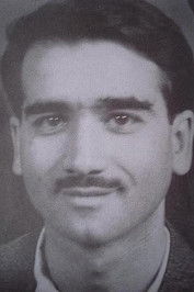 Парвиз Фанизадех